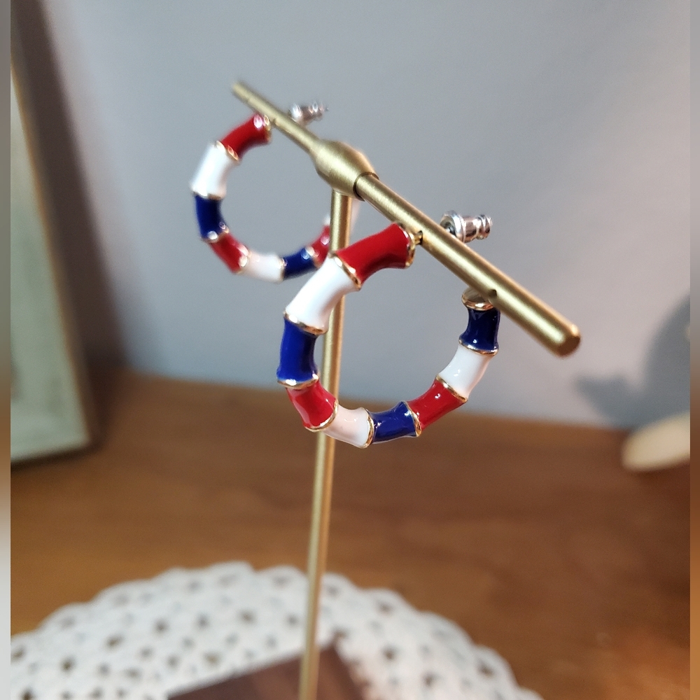 STUNNING Enamel Earrings